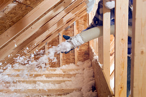 Best Wall Insulation Installation  in Westwood, MI